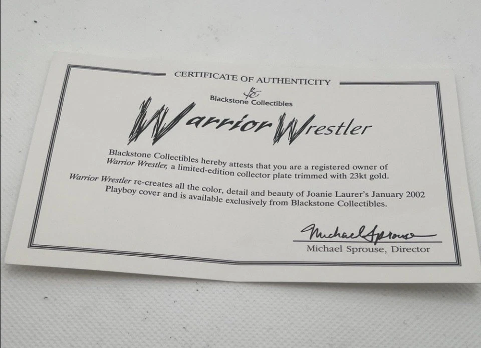 Plato Guerrero Playboy con Diseño Azul y Negro WWE Chyna Foto 3 de 3