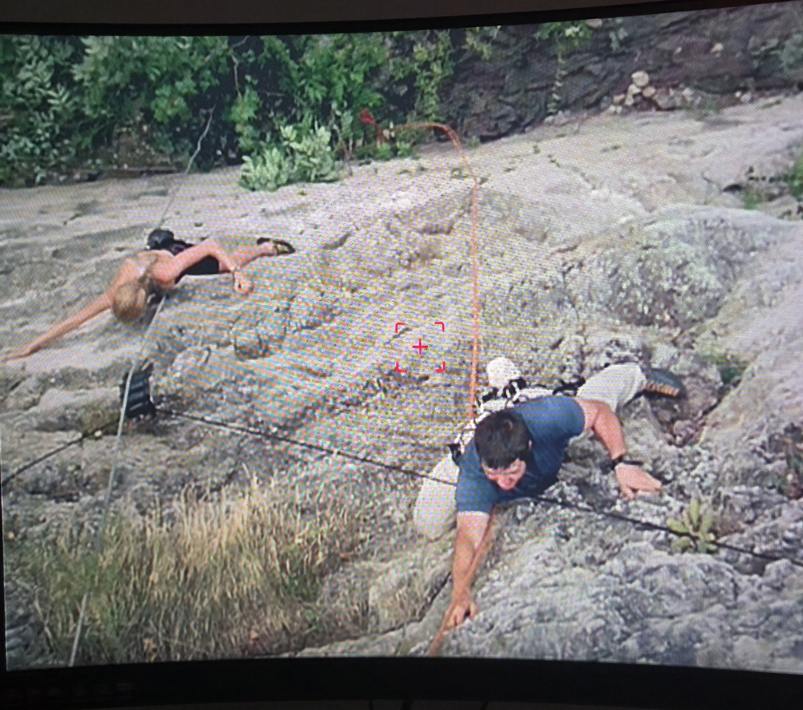 Wrong Turn: Complete 6-Movie Collection [DVD], Used