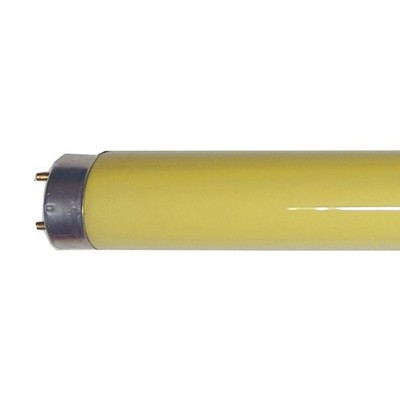 Philips Leuchtstoffröhre MASTER TL-D - T8, 160 Gelb - 36W - Leuchtrohr Licht
