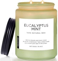 Duftkerze Eukalyptus Minze 550G 90H GroßE Kerzen Aromatherapie