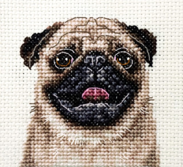 FAWN PUG dog, puppy Full counted cross stitch kit, all materials