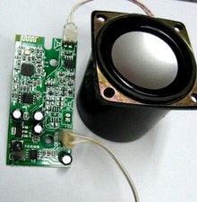 Bluetooth Modul mit Lautsprecher