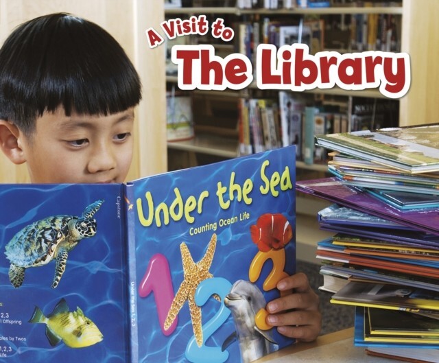 A Visit to The Library Children's Book First Experiences Facts Early Learning