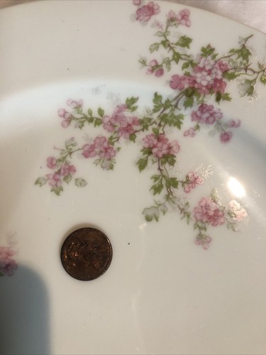 4 Teller mit Rand Haviland rosa Blumen Blüten Wildrose Ha5 B - Bild 3 von 4