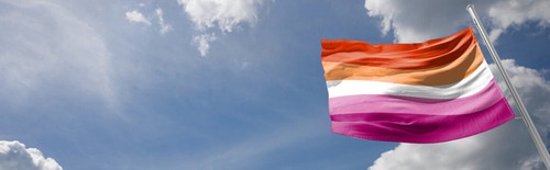 Bandera de lesbiana 5x3 pies grande bandera del orgullo lésbico LGBTQ+ festival desfile fiesta banderas - Imagen 8 de 24