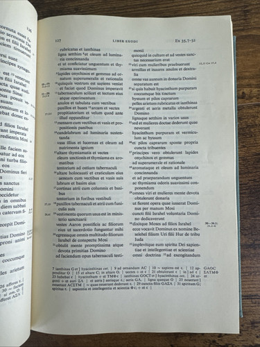 BIBLIA SACRA VULGATA - IUXTA VULGATAM VERSIONEM - LATIN EDITION BY ROBERT WEBER - Picture 10 of 18