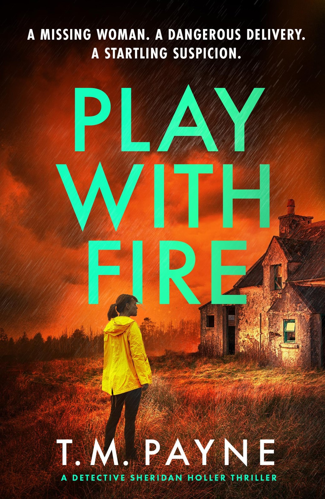 Play With Fire: 3 (Detective Sheridan Holler),Payne, T. M. T. M.