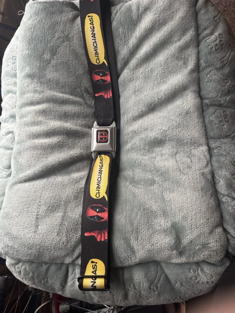 Buckle Down Belt
