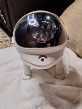 Galaxy Star Projector LED Night Light Starry Sky Space Dog With Remote