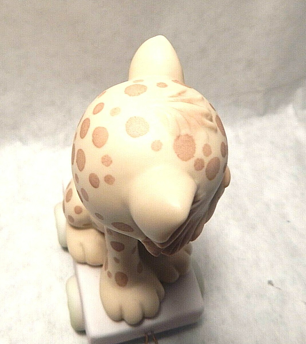 Picture 5 of 8