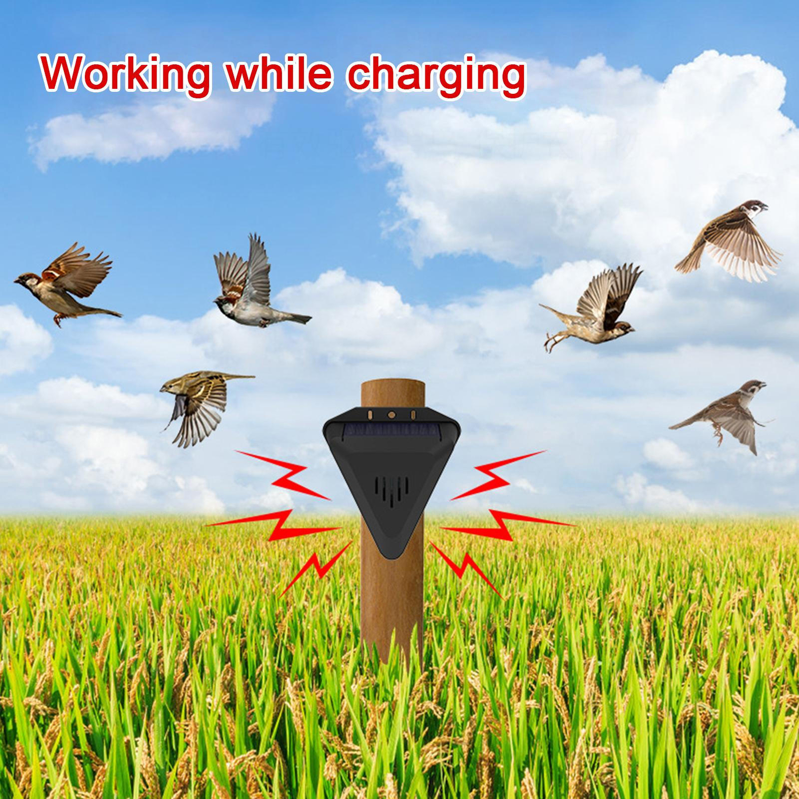 Animal Repellents Outdoor Waterproof Bird Repeller Solar Powered Bird