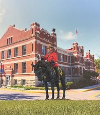 W.Britain 10174 Royal Canadian Mounted Police, Male Trooper on Horse Britains