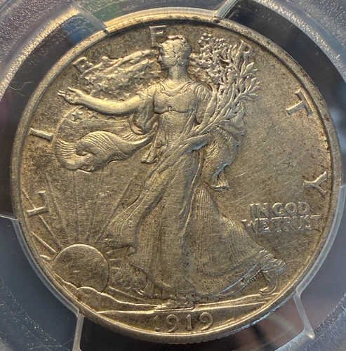 1919 50C Walking Liberty Half Dollar PCGSXF45 High Grade Key Date Detail Goldish