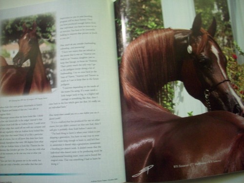 Wayne Newton's Aramus Arabians Horse times 2006 supplement - Imagen 6 de 8