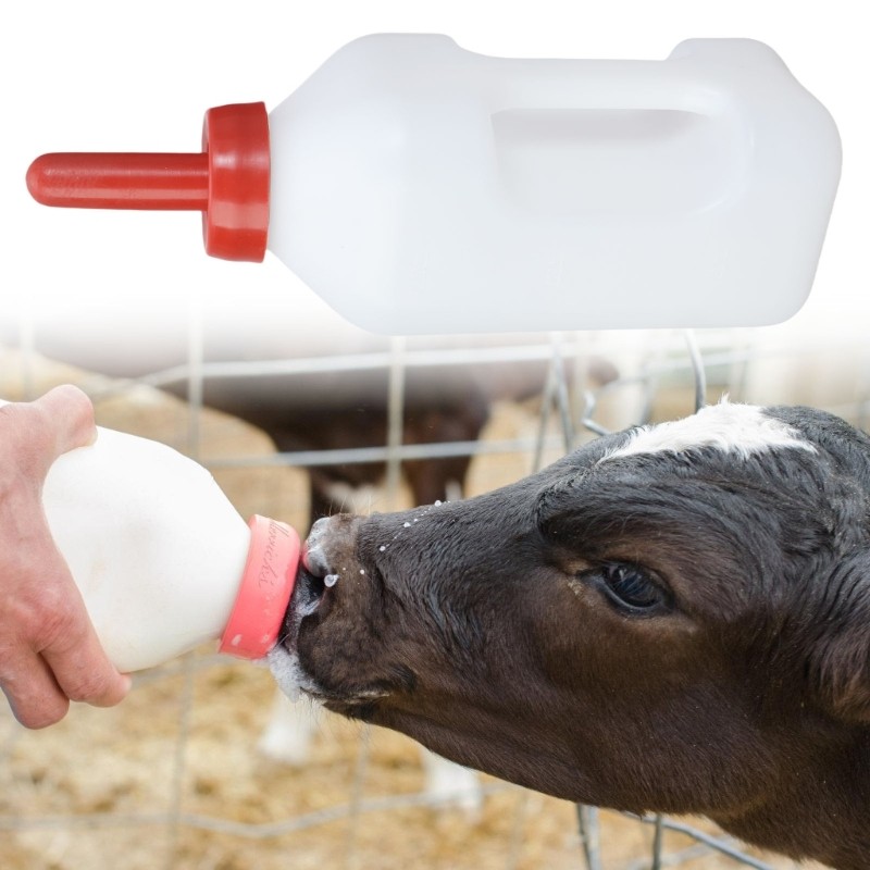 Small Ranch Tool Portable Nurseries Weaner Cow Ranch Tool Calfs Feeding Baby Bottles ...
