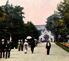 Antique DB Postcard Palm Avenue Sutro Baths San Francisco California CA