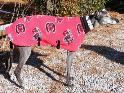 funky greyhound coats