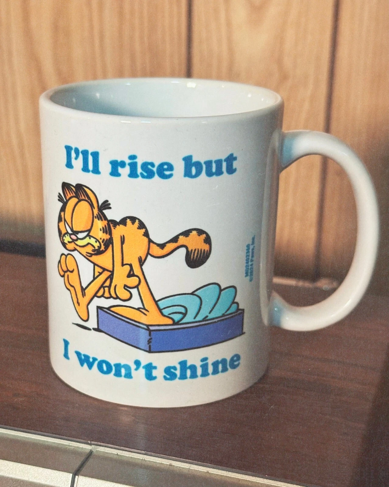 Garfield Rise But I Won Shine Mug