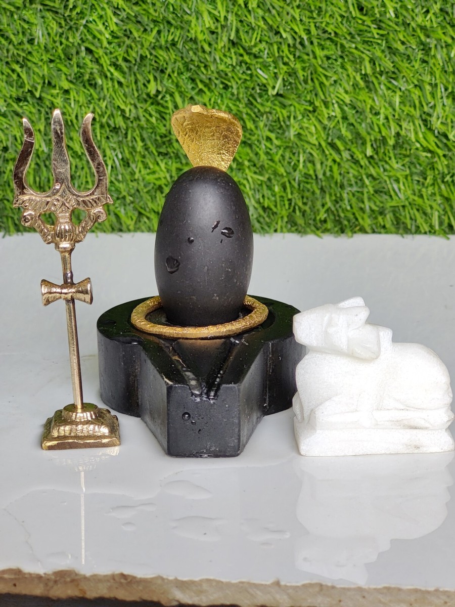 Black Narmada Shiva Lingam With Snake, Trishul, And Nandi Bull