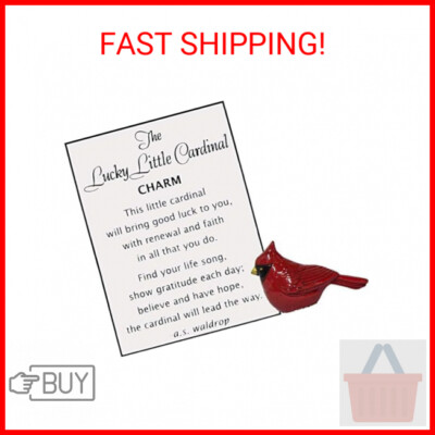 Ganz The Lucky Little Cardinal Charm with Story Card New