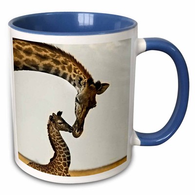 3dRose giraffe mama and baby Mug