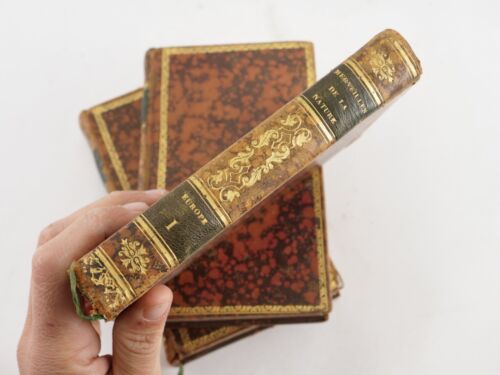 Merveilles de la Nature et de l'art M. de Marles 1836 Tome 1, 2 et 3 Prix école - Imagen 9 de 24