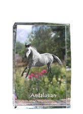 Andalusian - crystal with a picture of a horse, photo in glass, modern exhibitio