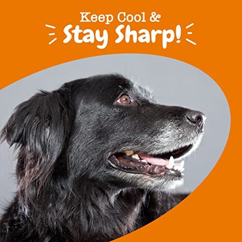 Zesty Paws Senior Advanced Calming Cognition Soft Chews for Dogs