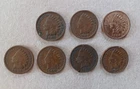 Lot ((7) Indian Head Pennies 1897-1907
