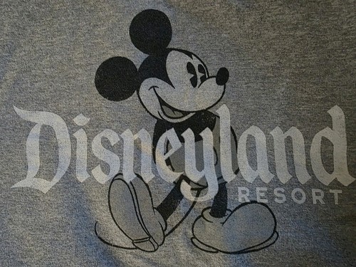 Y2K Disneyland Resort Sweatshirt Medium Vintage Disneyland Mickey Mouse top