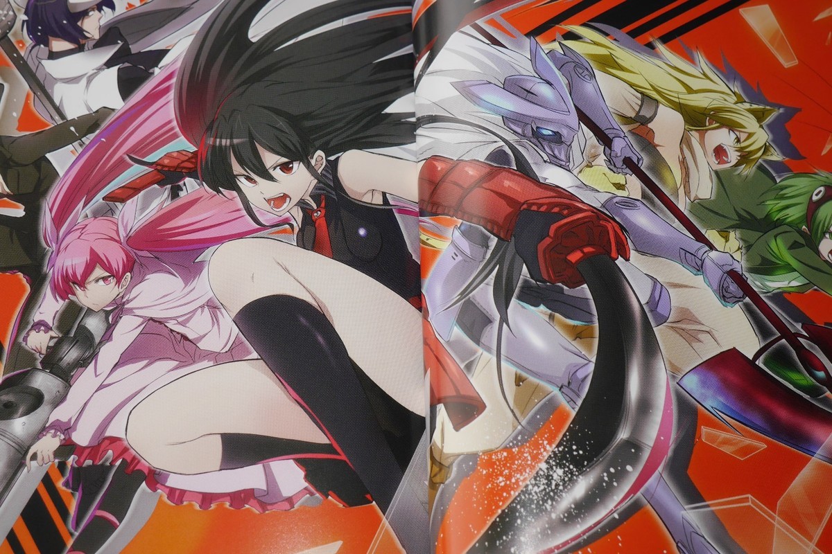 Square Enix Akame ga Kill Official Guide Book Japanese Manga Anime