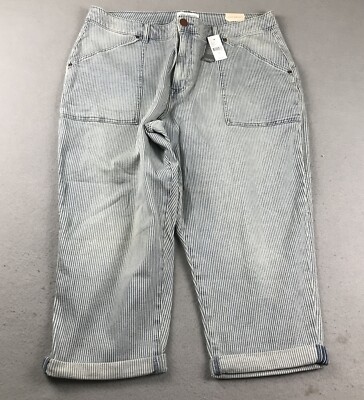 Lane Bryant Jeans Womens 16 Blue Striped Mid Rise Boyfriend