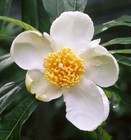 Foto 3 di 5