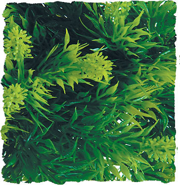 Zoo Med Hängepflanze - Natural Bush Plant - Desing: Malaysian - Länge: 36cm