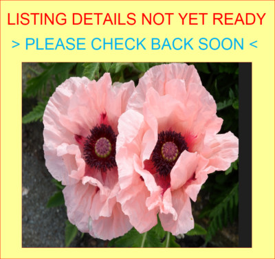 E: New Listing 11th March 2024 New CD Fast Freepost Sealed