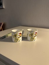 Villeroy & Boch Amazonia: Mokkatasse / Espressotasse 2 Stück