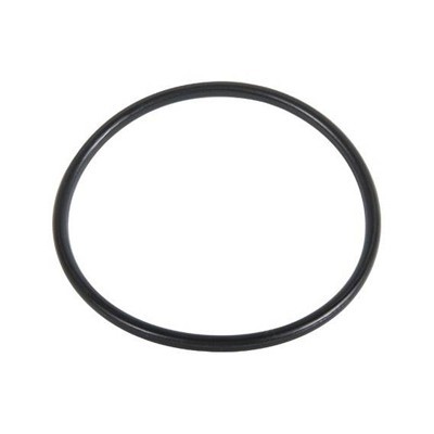 O-RING PER FILTRO 244-HYMFI 31,47 x 1,78 Tipo C Irrigazione Tubi Raccordi