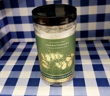 Bath  Body Works Aromatherapy Eucalyptus Spearmint Shower Steamers 4.8oz - NEW