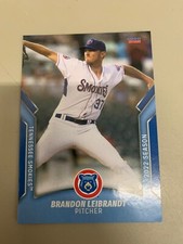 Brandon Leibrandt 2022 Tennessee Smokies Team Card
