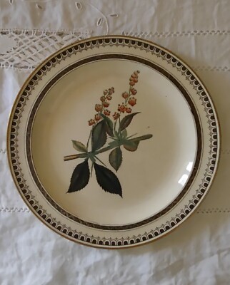 Antique Wedgwood Creamware 9'' Plate ''Botanical Florals''
