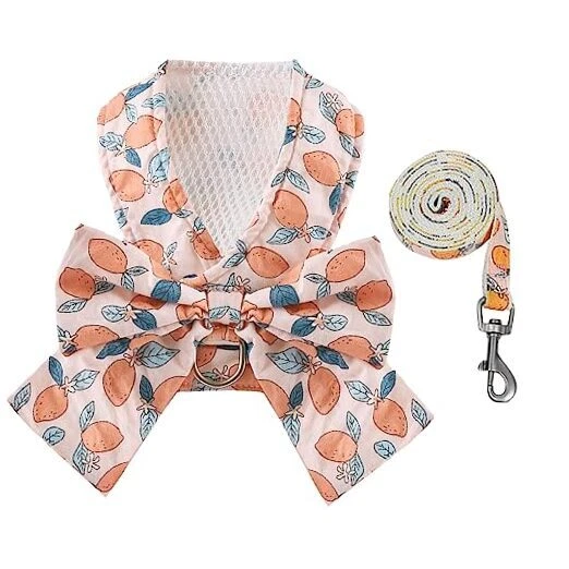 Dog Harness and Leash Set with Bow Knot No Pull Pet Floral Medium Orange