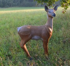 Cervo LongLife a livello 3D