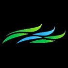 tradewindcollectibles