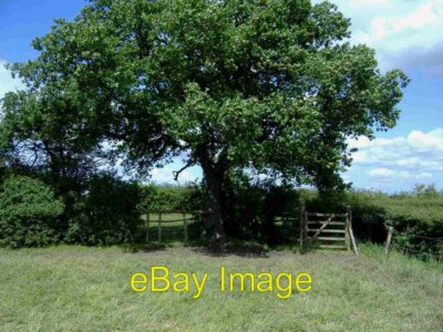 Foto 6x4 Feldecke, Stoke Common Hillside\/SU0692 um 2007