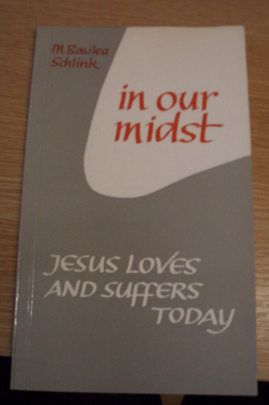 Базилея Шлинк среди нас (В твердом переплете) (ИМПОРТ из Великобритании)