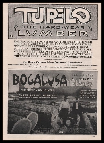 1921 Great Southern Bogalusa Louisiana Photo Finest Virgin Pine Timber Print Ad