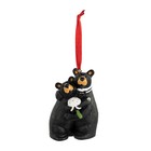 Big Sky Carvers Bearfoots Bear Lucky in Love Ornament (New)