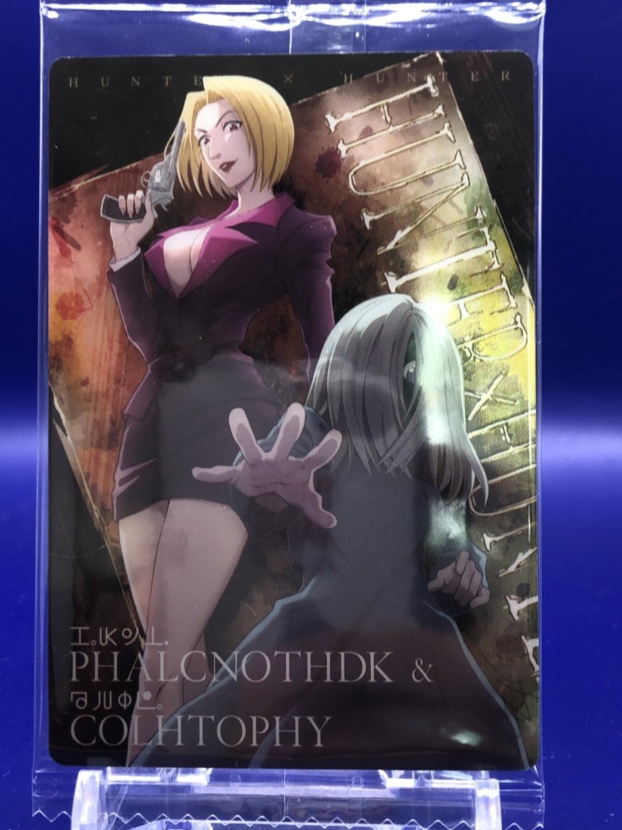Phalcnothdk Colhtophy Hunter x Hunter N13 2666268 Card Bandai 2023