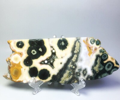 Natural Ocean Jasper Agate Eye Quartz Crystal Stone Slice Mineral Specimen/Stand