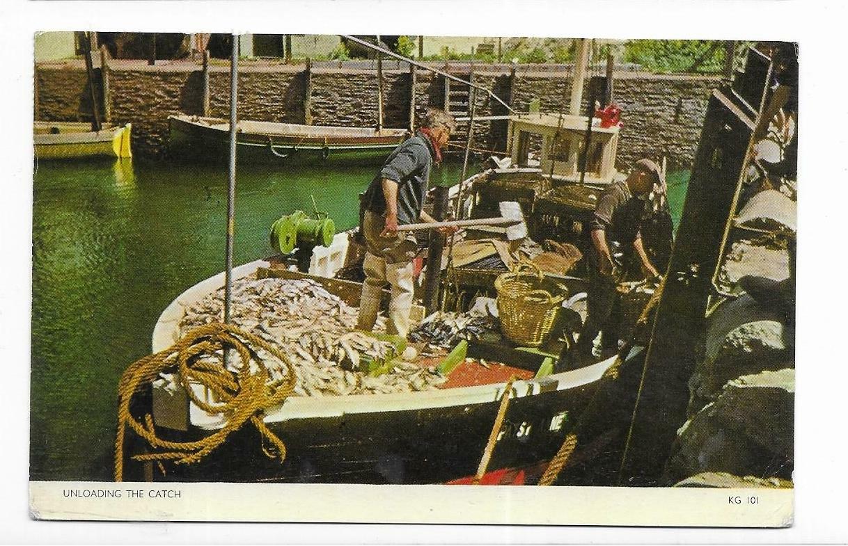 Single Postcards Topographical UK (United Kingdom) Scotland England Wales PC12-B - Picture 50 of 253